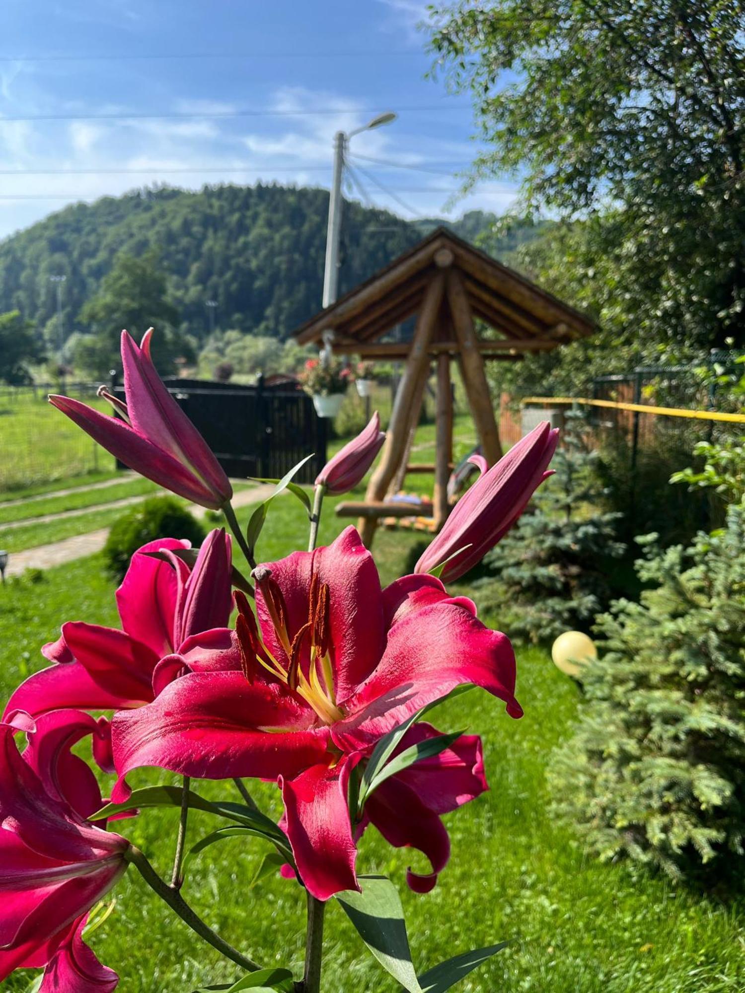 Ograda Bunicilor Gura Humorului Villa Esterno foto